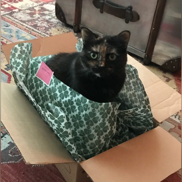 Everything listed after this post is sold! - Picture 6 of 11